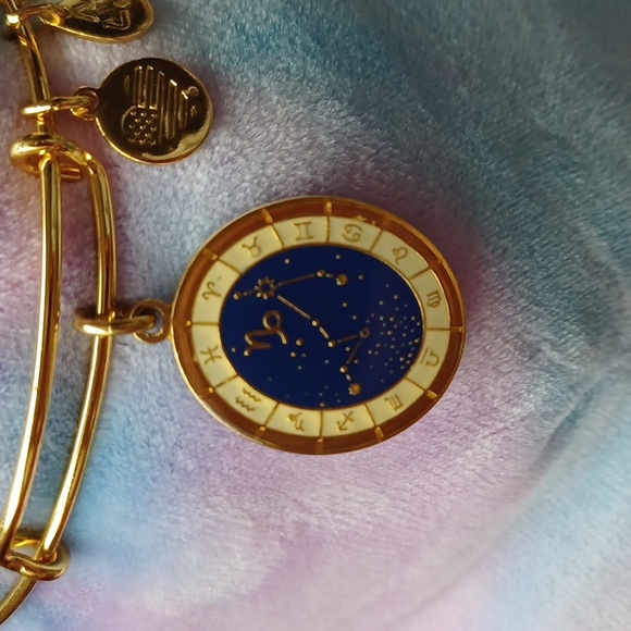 Capricorn Celestial Wheel expandable bangle by Alex and Ani RARE/DISCONTINUED - Picture 10 of 12